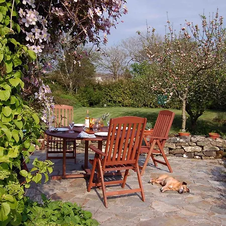 Bed & Breakfast Sharamore House 4*