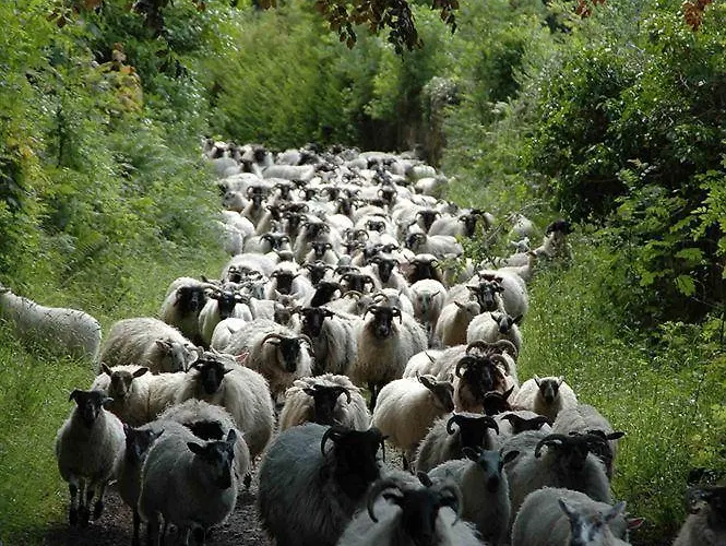 Couette-café Sharamore House 4*