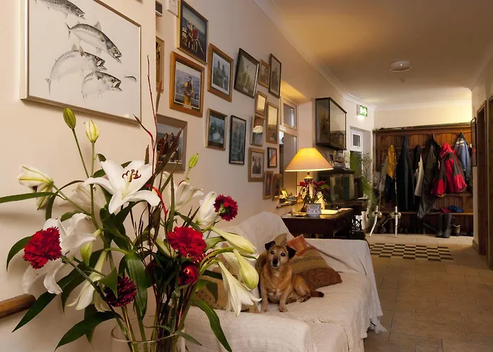 Sharamore House Bed & Breakfast